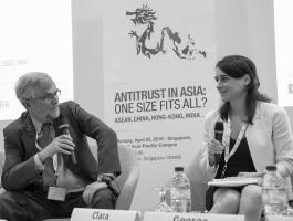 "Antitrust in Asia: One size fits all?"